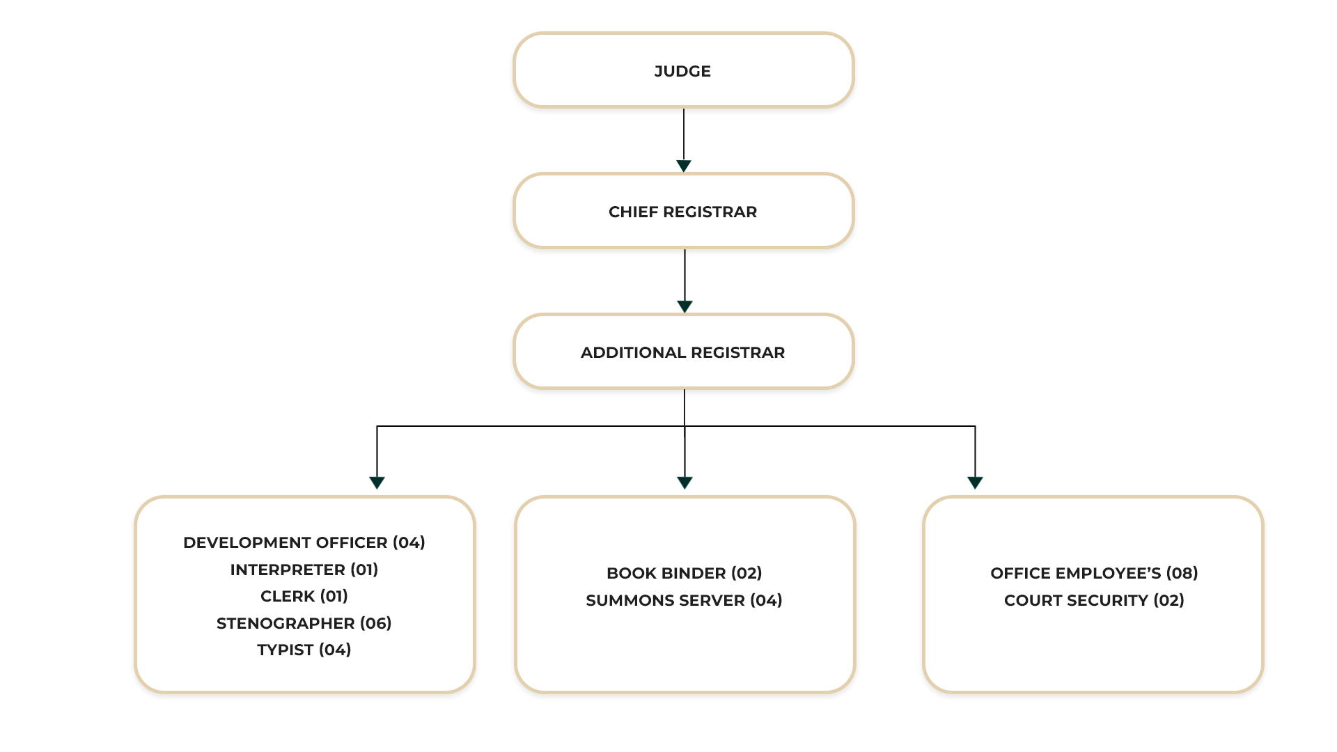 District Court Nikaweratiya ORGANIZATIONAL STRUCTURE
